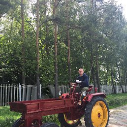 ���� ������, ������, 40 ��� - ��������� 6 ������� 2019