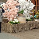 ���� �������, ������ - ��������� 1 ������� 2019 � ������ ���� ����������