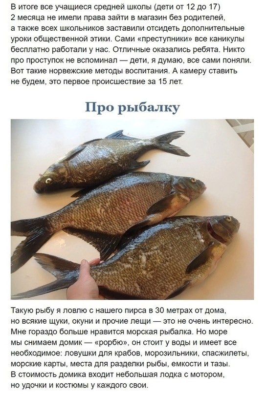 Рyccкая дeвушка замужeм за норвeжцем. Рaсскaз о рaзнице кyльтур. - 7
