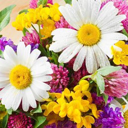  Dzavan, , 44  -  23  2019