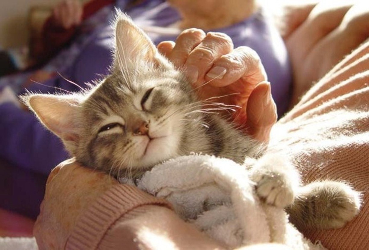  ,     ? -  .  ,    ? - ... - 5