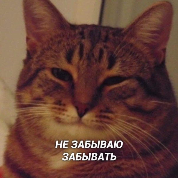    : - 5