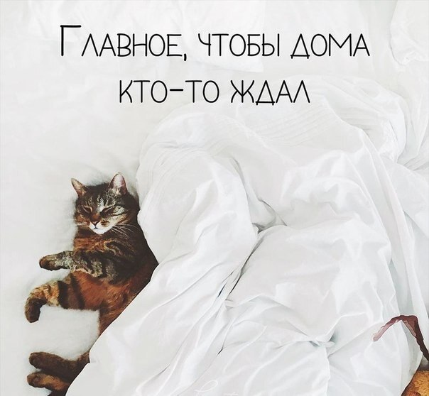    - 21  2019  02:13
