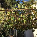  T, , 58  -  9  2019   Macedonia 2018