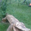 ���� �������� �����������, ������, 35 ��� - ��������� 20 ��� 2019