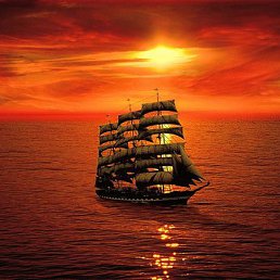 �����, ������ �����, 46 ���