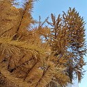  , , 50  -  9  2019    2019