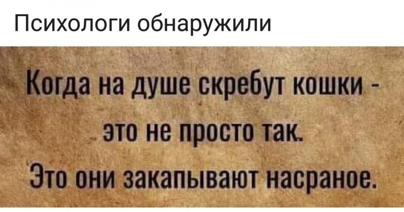  - 17  2019  12:16