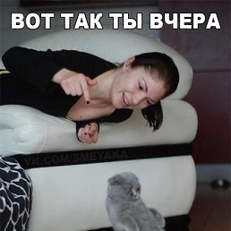 �����, �����, 36 ���