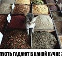  ,  -  4  2019    