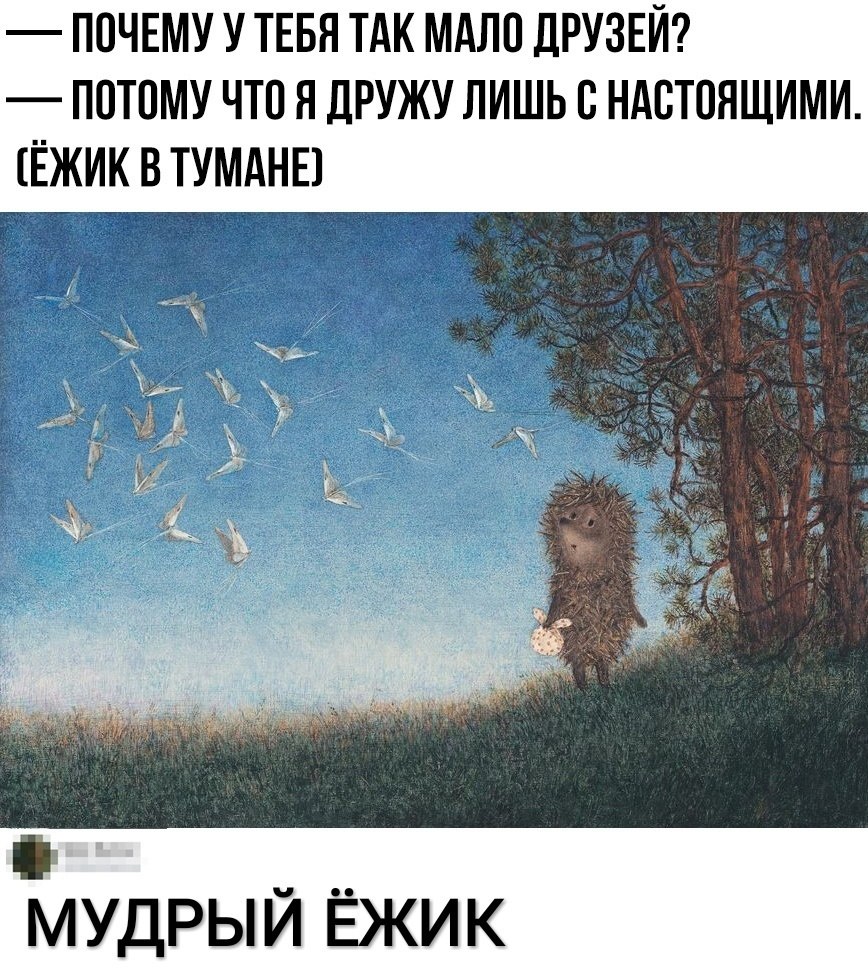    :D - 5  2019  03:41