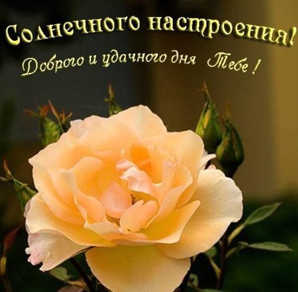   ,    . - 11  2019  22:19