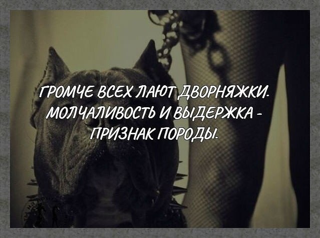 ☆ ☆ - 10  2019  19:12