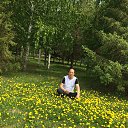 ���� Daniyar, ������, 64 ���� - ��������� 11 ���� 2019 � ������ ���� ����������