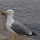 ����������! �� ������� ���� ����������