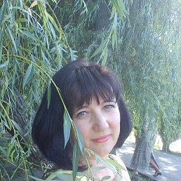 �������, ������, 53 ����