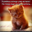 ���� ����������, ������, 75 ��� - ��������� 10 ������� 2019 � ������ ������ ��������