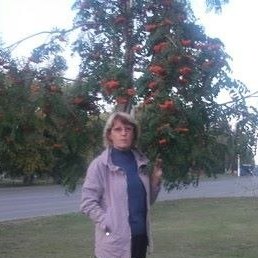 Svet Lana, �������, 65 ���