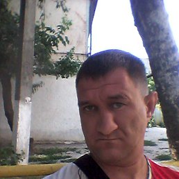 �������, ��������-��-������, 39 ���