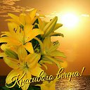 ���� �������@, �������� - ��������� 24 ������� 2019 � ������ ������ ��������