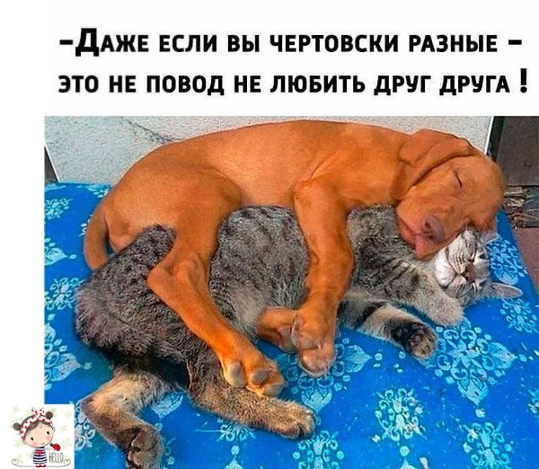 ������ �������� &copy; - 19 ������ 2019 � 03:39