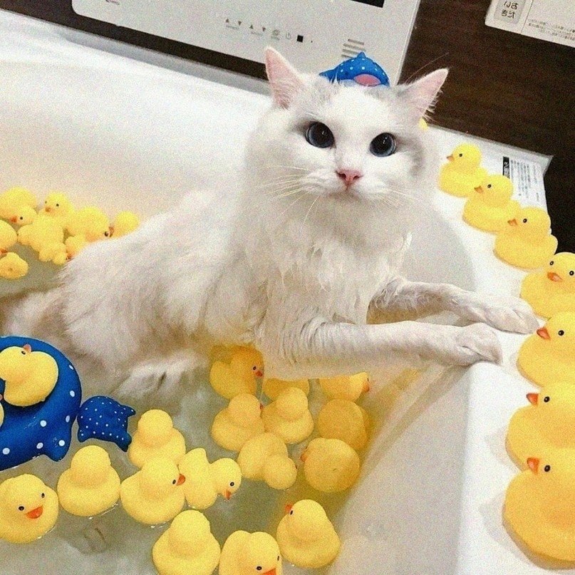  ,    ! - 5