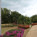  Tanya, , 65  -  14  2019    2019