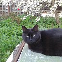 � ��� ����� ��������� �� ������� ���� ����������