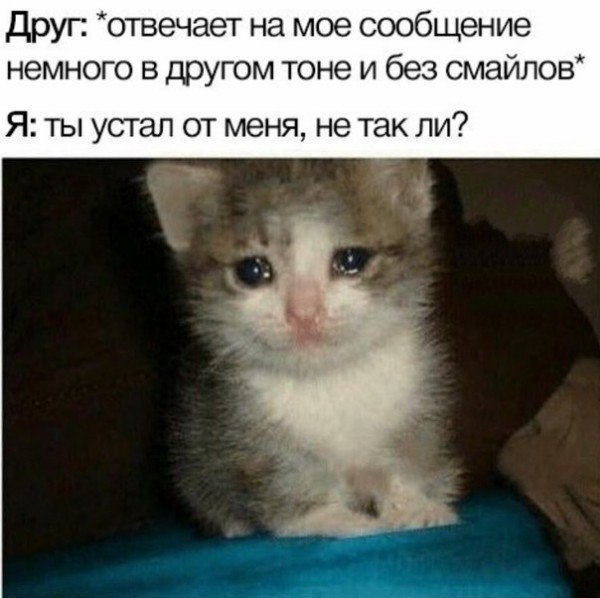 ☆   ☆ - 5  2019  03:40