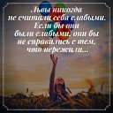 ���� ������� �������, ����, 54 ���� - ��������� 12 ������� 2019 � ������ ���� ����������