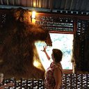 ���� �����, ��������, 64 ���� - ��������� 28 ������� 2019 � ������ ���� ����