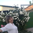 ���� ���������, ������������, 63 ���� - ��������� 27 ��� 2019 � ������ ���