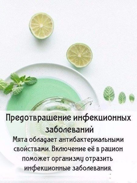 Чудо-мята: полезные свойства! А вы любите мятный чай? #советы@ican - 2