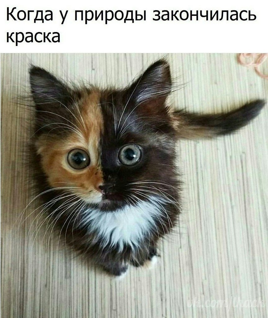  - 2  2019  17:29