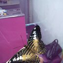 ���� ������� *****, �������, 46 ��� - ��������� 1 ������� 2019 � ������ ���� ����������