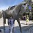 ###Karlovy Vary##�� ���� � �������� �����