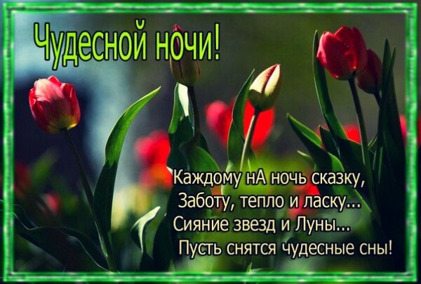   ,    . - 1  2019  20:55