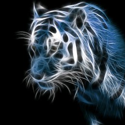 ���� �����, ���������, 37 ��� - ��������� 26 ������� 2019