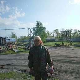 , 56, 