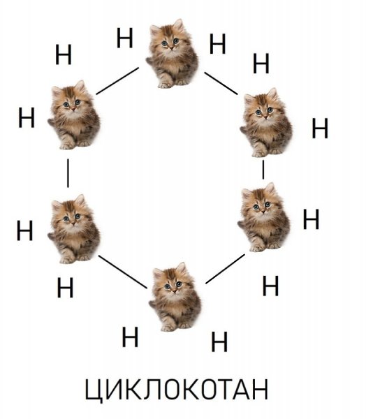  - 10