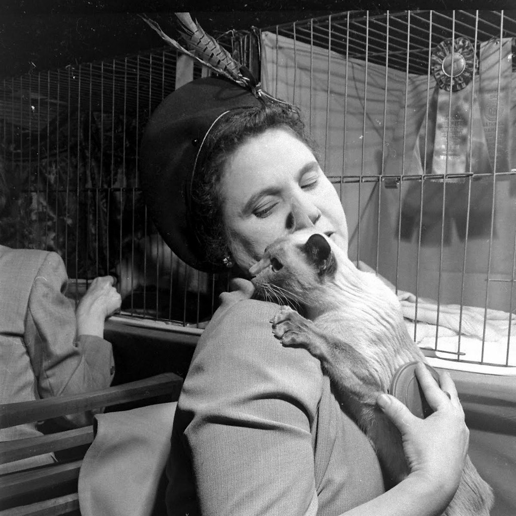  . , 1948  - 7