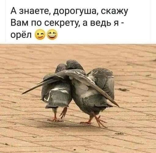  - 9  2019  23:10