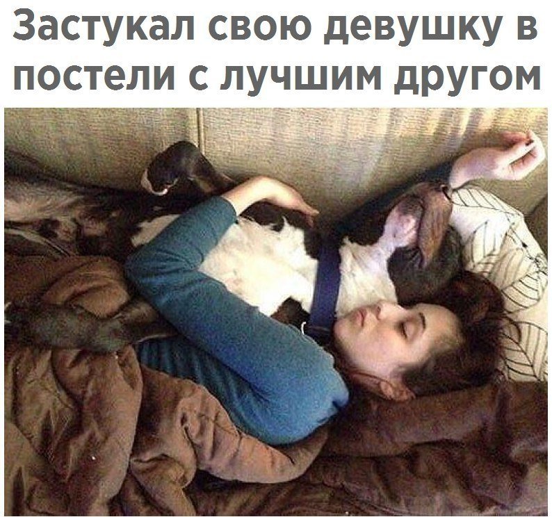 ������� - 21 ������ 2019 � 03:41
