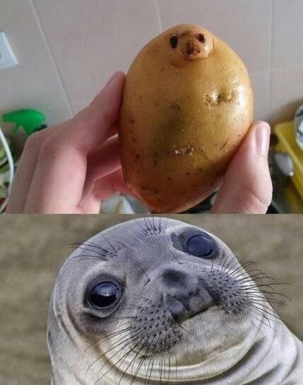 ?