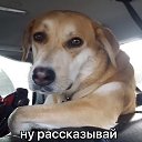 ���� ����� Su, ������������, 60 ��� - ��������� 28 ������� 2019 � ������ ���� ����������