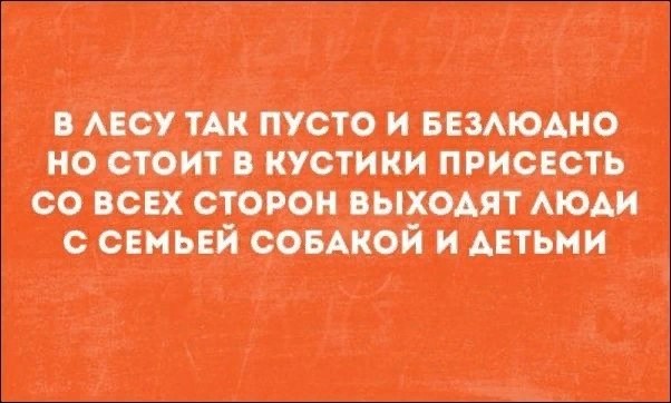 ☆ ☆ - 12  2019  03:42