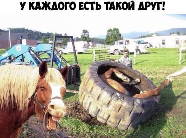    :D - 6  2019  02:34