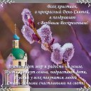 ���� �����, ����, 41 ��� - ��������� 24 ������ 2019