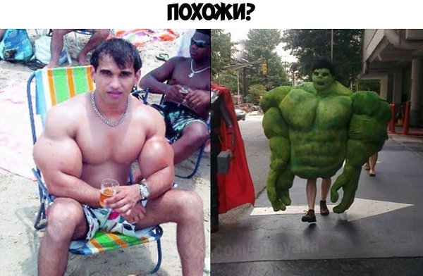    :D - 12  2019  03:44