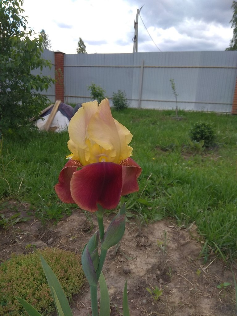   ,    . - 18  2019  18:48 - 2